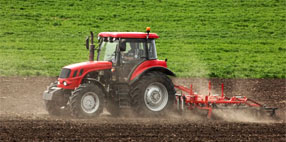 AGRICULTURE INDUSTRY